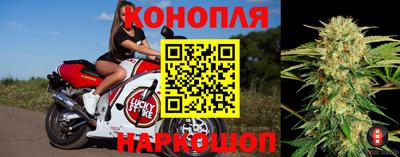 гашик Донской