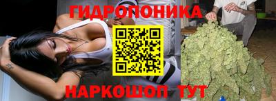 гашик Донской
