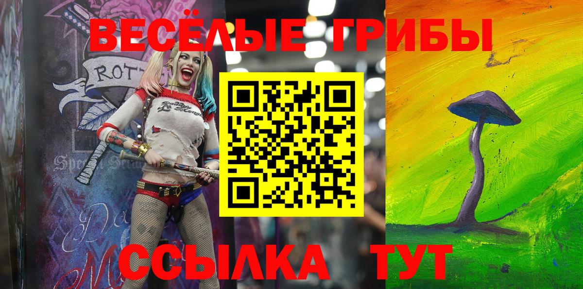 Псилоцибиновые грибы мицелий Ликино-Дулёво