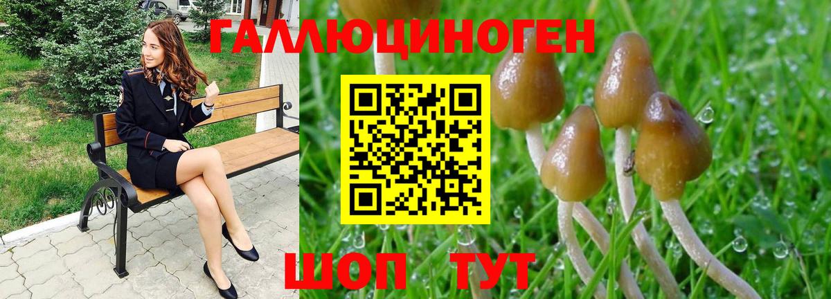 Ликино-Дулёво  Галлюциногенные грибы MAGIC MUSHROOMS  Вход с VPN  Псилоцибиновые грибы ЛСД 